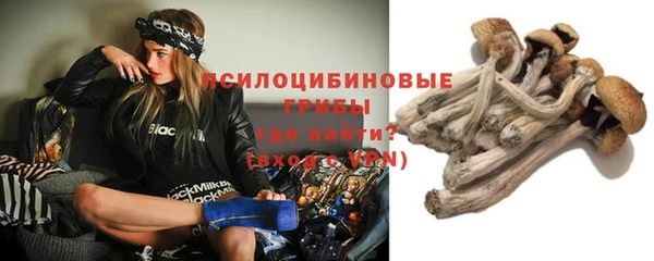 СК Алексин