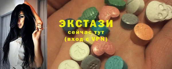 СК Алексин