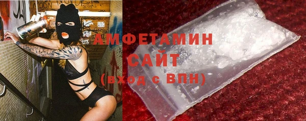 СК Алексин