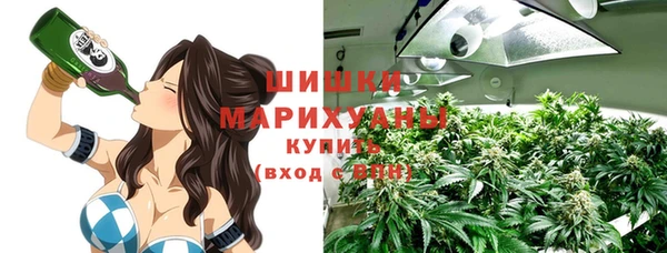 СК Алексин