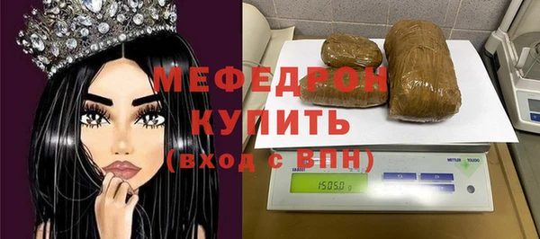 СК Алексин
