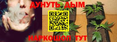 каннабис Новодвинск
