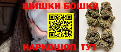 гидропоника Новозыбков