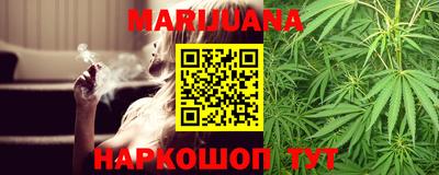 гидропоника Новозыбков