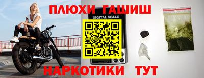 гидропоника Новозыбков