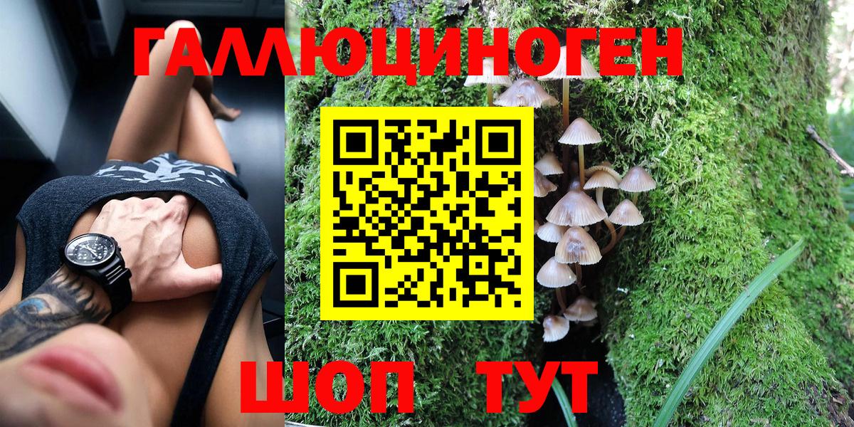 Галлюциногенные грибы Psilocybe  Вход с VPN  Уссурийск  Псилоцибиновые грибы Magic Shrooms 
